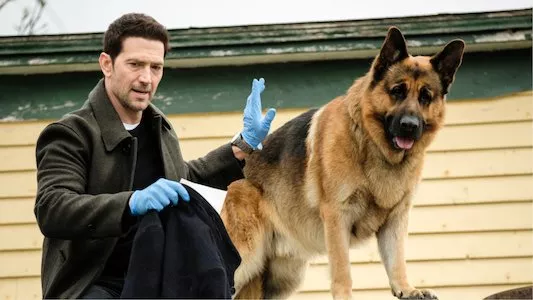 Image Hudson & Rex 4