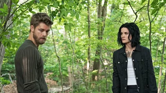 Image Blindspot 3