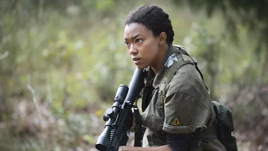 Image The Walking Dead 13