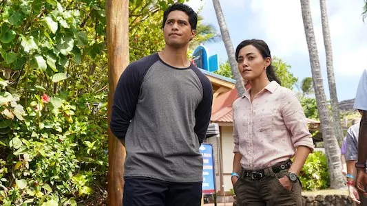 Image NCIS Hawaii 6